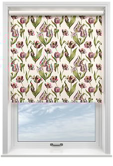 Carries, Cosmos - Roller Blind